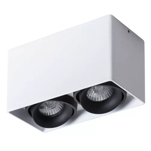 Точечный накладной светильник Arte Lamp PICTOR A5654PL-2WH