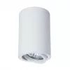 Точечный накладной светильник Arte Lamp SENTRY A1560PL-1WH