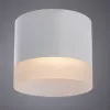 Точечный накладной светильник Arte Lamp CASTOR A5554PL-1WH
