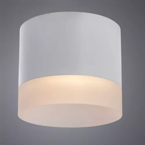 Точечный накладной светильник Arte Lamp CASTOR A5554PL-1WH