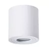 Точечный накладной светильник Arte Lamp GALOPIN A1460PL-1WH