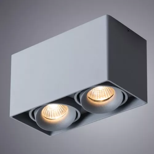 Точечный накладной светильник Arte Lamp PICTOR A5654PL-2GY