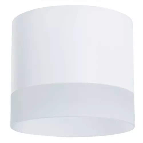 Точечный накладной светильник Arte Lamp CASTOR A5554PL-1WH