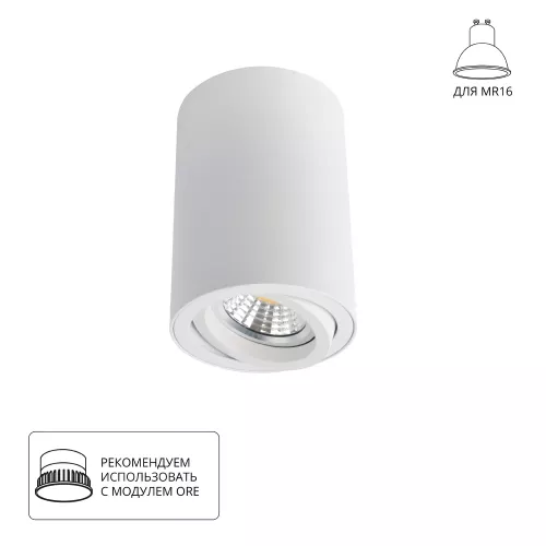 Точечный накладной светильник Arte Lamp SENTRY A1560PL-1WH