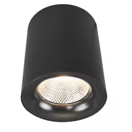 Точечный накладной светильник Arte Lamp FACILE A5118PL-1BK