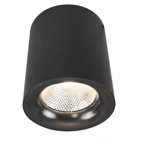 Точечный накладной светильник Arte Lamp FACILE A5118PL-1BK
