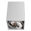 Точечный накладной светильник Arte Lamp CARDANI GRANDE A5936PL-1WH