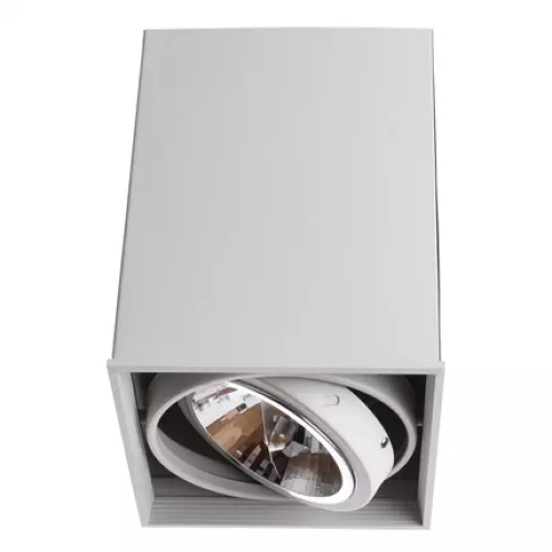 Точечный накладной светильник Arte Lamp CARDANI GRANDE A5936PL-1WH
