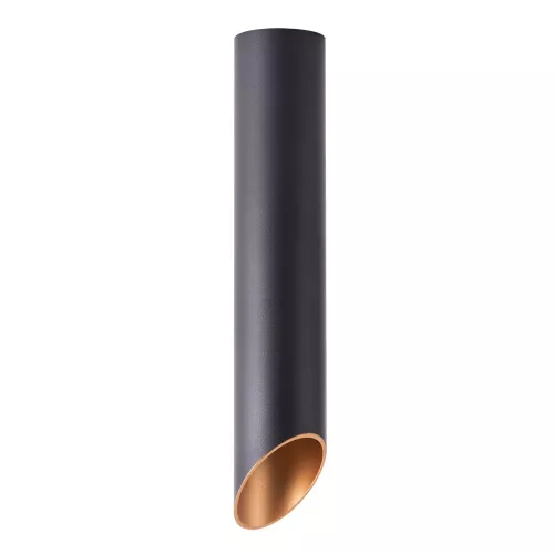 Точечный накладной светильник Arte Lamp PILON-GOLD A1536PL-1BK