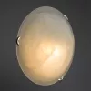 Потолочный светильник Arte Lamp SYMPHONY A3430AP-1CC