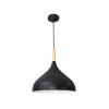 Подвесной светильник Arte Lamp KAYLA A7101SP-1BK