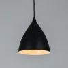 Подвесной светильник Arte Lamp LARK A7075SP-1BK