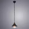 Подвесной светильник Arte Lamp GRAZIOSO A4577SP-1CK