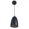 Подвесной светильник Arte Lamp BUCHINO A1615SP-1BK