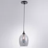 Подвесной светильник Arte Lamp PROPUS A4344SP-1BK