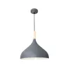 Подвесной светильник Arte Lamp KAYLA A7101SP-1GY
