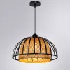 Подвесной светильник Arte Lamp WOODSTOCK A7071SP-1BK