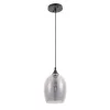 Подвесной светильник Arte Lamp PROPUS A4344SP-1BK