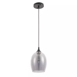 Подвесной светильник Arte Lamp PROPUS A4344SP-1BK