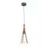 Подвесной светильник Arte Lamp CARAVELLA A8328SP-1BR