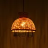 Подвесной светильник Arte Lamp WOODSTOCK A7070SP-1BK