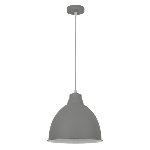 Подвесной светильник Arte Lamp BRACCIO A2055SP-1GY