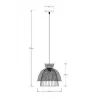 Подвесной светильник Arte Lamp WOODSTOCK A7070SP-1BK