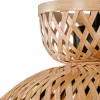 Подвесной светильник Arte Lamp WOODSTOCK A7070SP-1BK