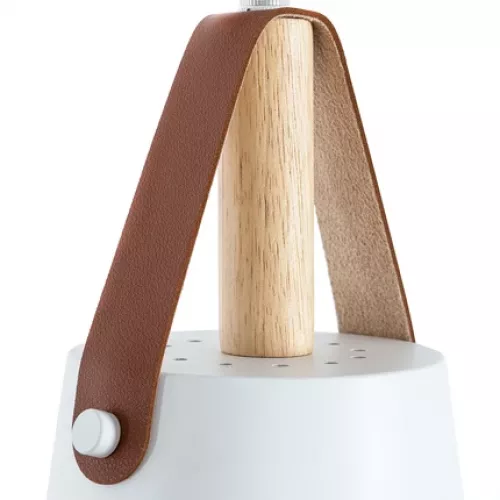 Подвесной светильник Arte Lamp THOMAS A7032SP-1WH