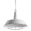Подвесной светильник Arte Lamp PANDORA A9183SP-1WG