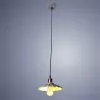 Подвесной светильник Arte Lamp ASTI A8160SP-1GY