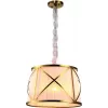 Подвесной светильник Arte Lamp CHIC A2805SP-1WH