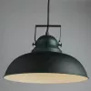 Подвесной светильник Arte Lamp MARTIN A5213SP-1BG