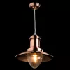 Подвесной светильник Arte Lamp FISHERMAN A5530SP-1RB