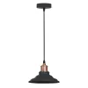 Подвесной светильник Arte Lamp LIDO A5067SP-1BK