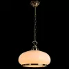 Подвесной светильник Arte Lamp ARMSTRONG A3561SP-1AB
