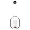 Подвесной светильник Arte Lamp CELAENO A7004SP-1BK