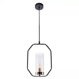Подвесной светильник Arte Lamp CELAENO A7004SP-1BK
