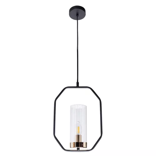 Подвесной светильник Arte Lamp CELAENO A7004SP-1BK