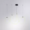 Подвесной светильник Arte Lamp KLIMT A2850SP-80BK