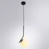 Подвесной светильник Arte Lamp BOLLA-UNICA A1923SP-1BK