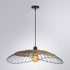 Подвесной светильник Arte Lamp WOODSTOCK A7061SP-1BK