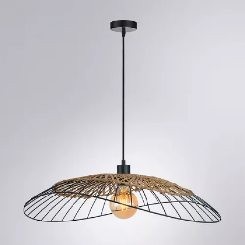 Подвесной светильник Arte Lamp WOODSTOCK A7061SP-1BK