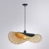 Подвесной светильник Arte Lamp WOODSTOCK A7063SP-1BK