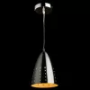 Подвесной светильник Arte Lamp LUCIDO A4081SP-1SS