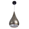 Подвесной светильник Arte Lamp AJOUR A1708SP-1SG