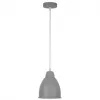Подвесной светильник Arte Lamp BRACCIO A2054SP-1GY