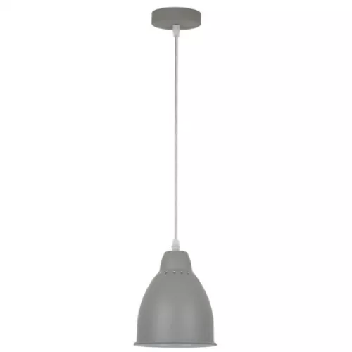 Подвесной светильник Arte Lamp BRACCIO A2054SP-1GY