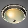 Потолочный светильник Arte Lamp ALTA A3011PL-2SS