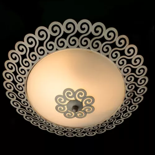 Потолочный светильник Arte Lamp FLEECE A4554PL-2WG